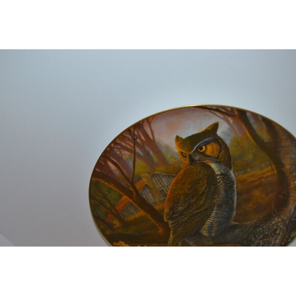 Vintage Owl Collectible Plate for Display Rustic Woodland Cottage Core - Picture 4 of 5